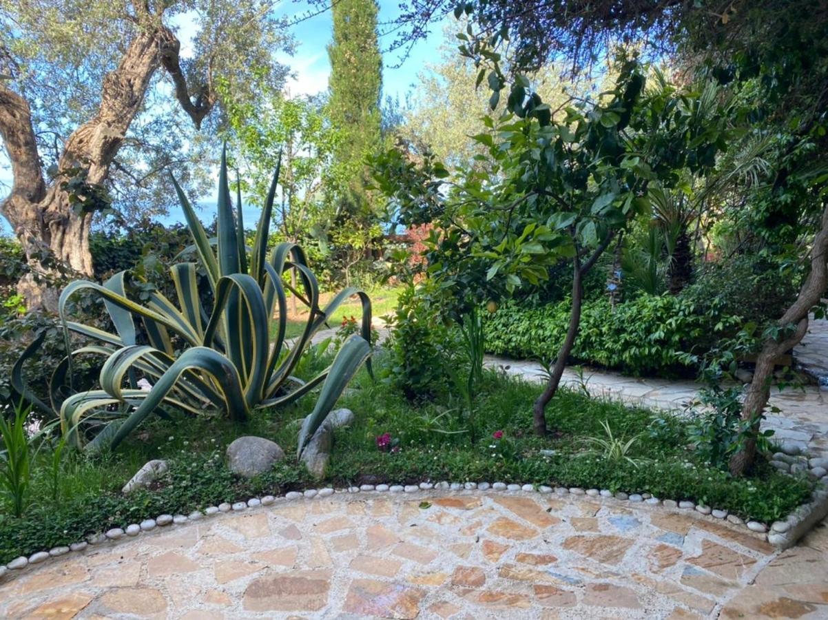 Newly Renovated Apartment Olive Dhermi Exterior photo